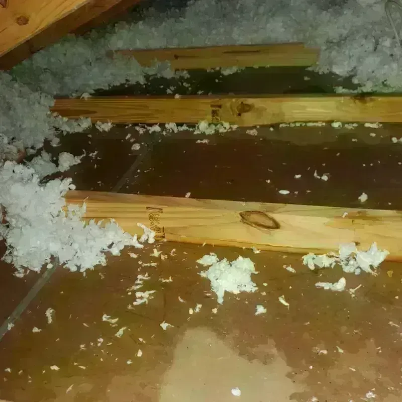 Attic Water Damage in Wyoming County, PA